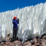Naturphänomen: Ein Wald aus Eisspitzen