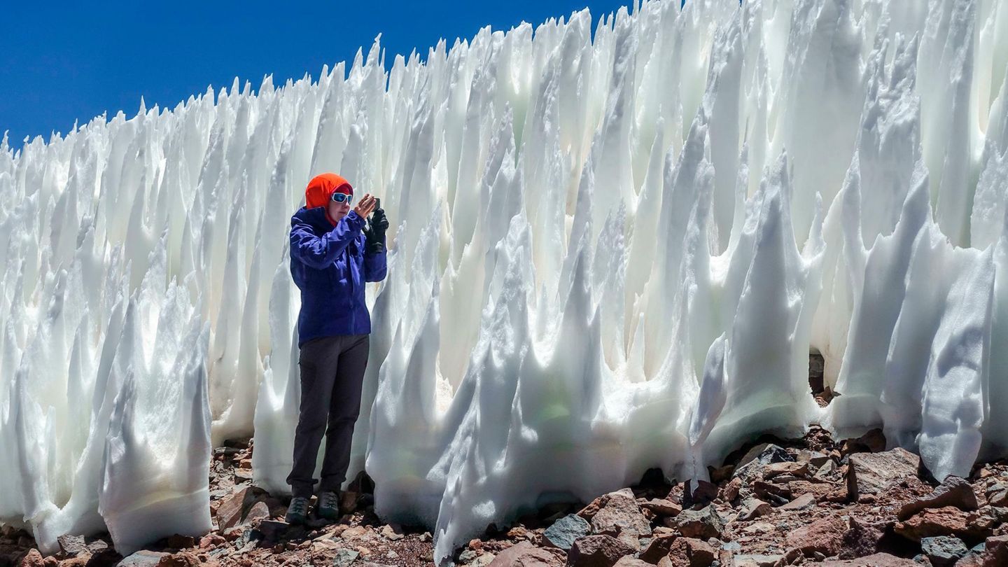 Naturphänomen: Ein Wald aus Eisspitzen