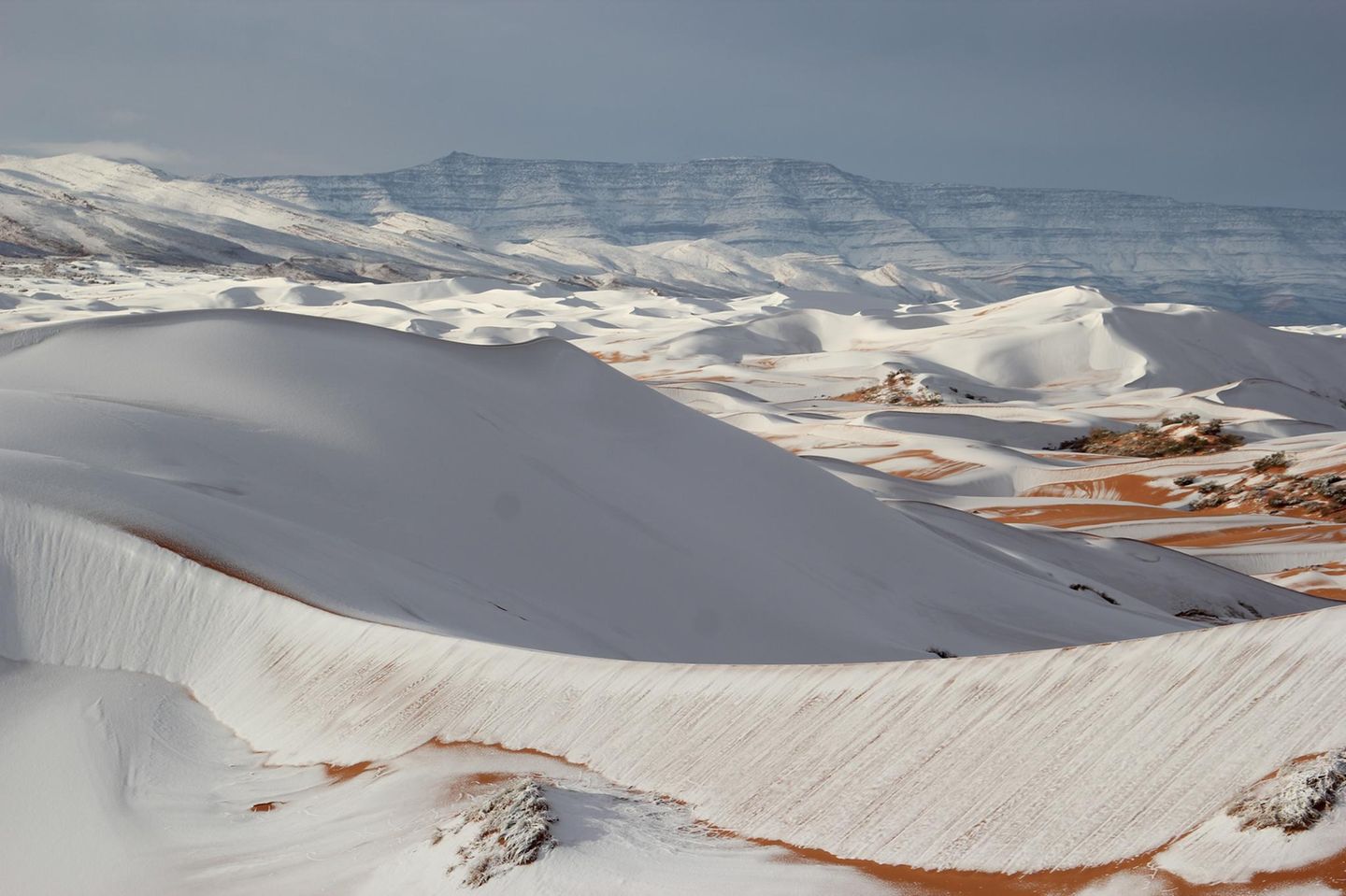 Naturphänomen: Schnee in der Sahara