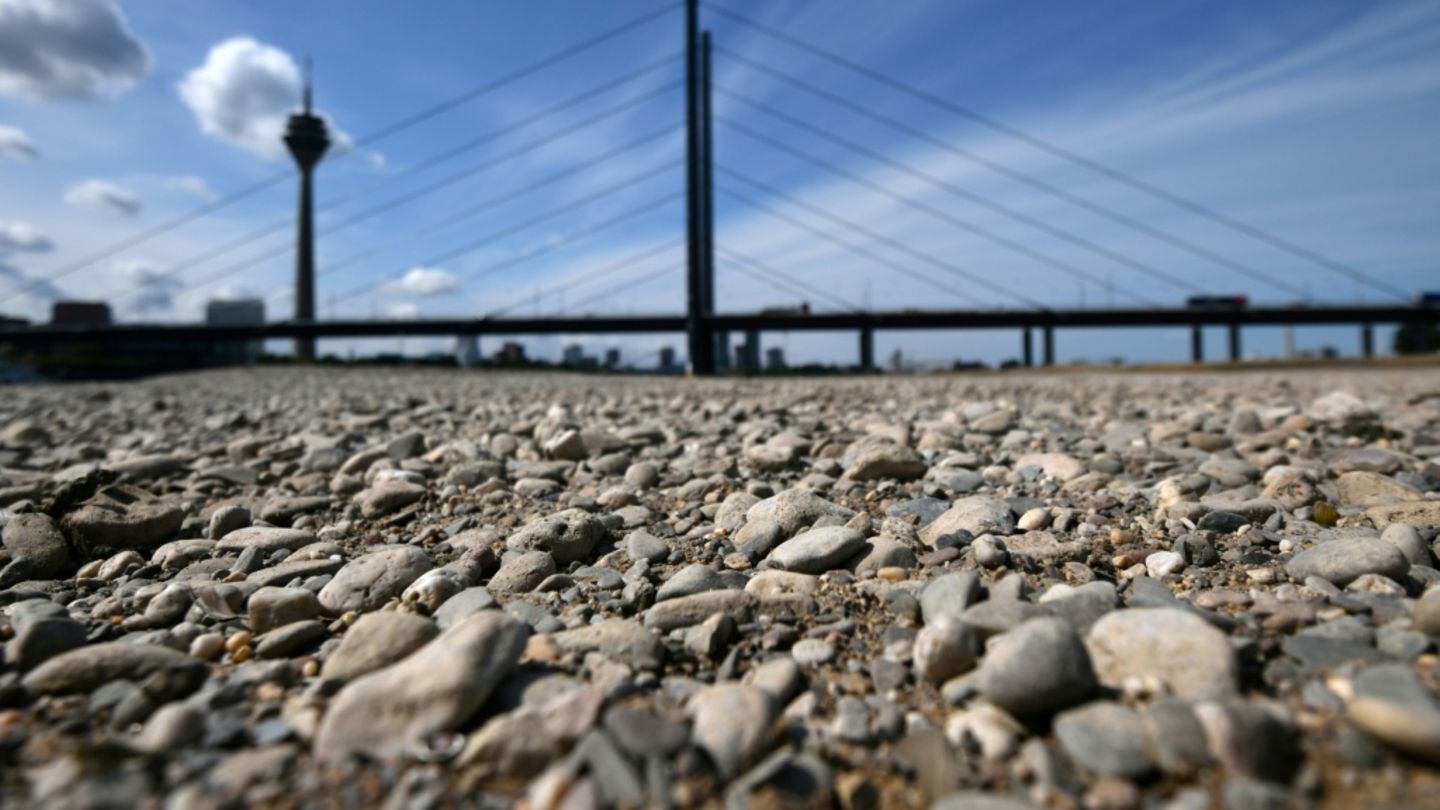 Trockenheit am Rhein in Düsseldorf im Jahr 2019