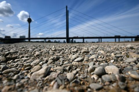 Trockenheit am Rhein in Düsseldorf im Jahr 2019