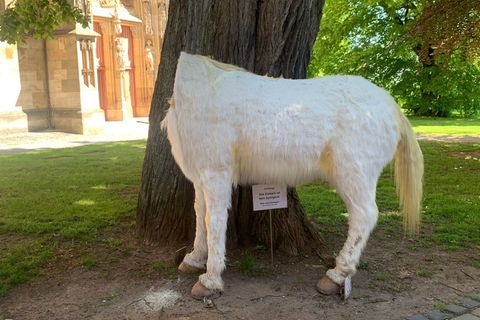 Zeugen gesucht - wer hat sich an dem Einhorn zu schaffen gemacht? Foto: --/Wolfgang-Bonhage Museum Korbach/dpa