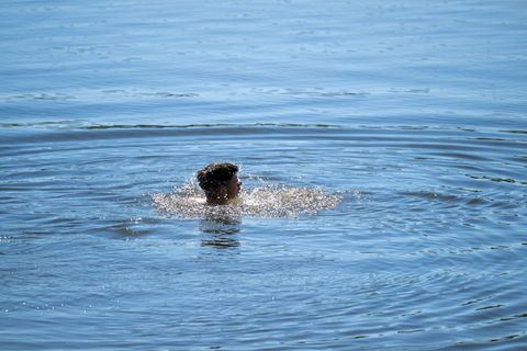 Die Behörde warnt wegen des Umweltgifts PFAS vor uneingeschränktem Baden für Kleinkinder an einer Badestelle im Landkreis Rastat