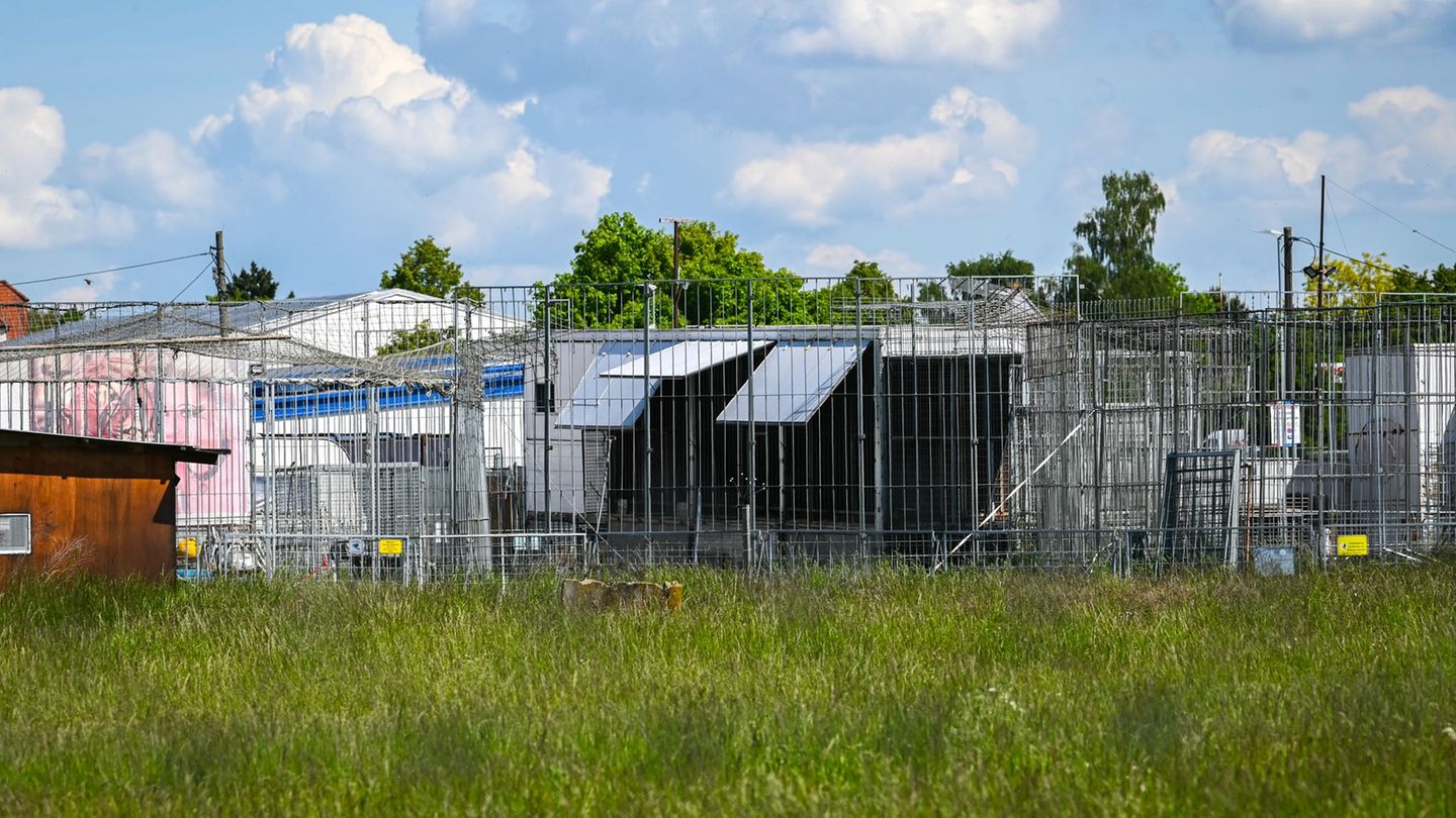 Vor knapp zwei Wochen war hier ein Tiger aus seinem Gehege entkommen und hatte einen Mann schwer verletzt. (Archivbild) Foto: He