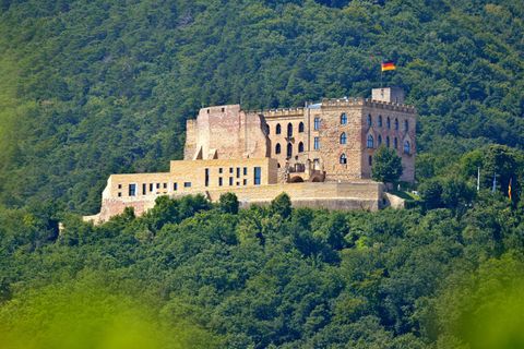 Das Hambacher Schloss über Neustadt an der Weinstraße gilt als eine Wiege der Demokratie. (Archivbild) Foto: Uwe Anspach/dpa