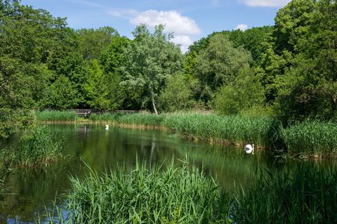 In Berlin und Brandenburg wird es am Freitag noch einmal sonnig. Foto: Soeren Stache/dpa/ZB