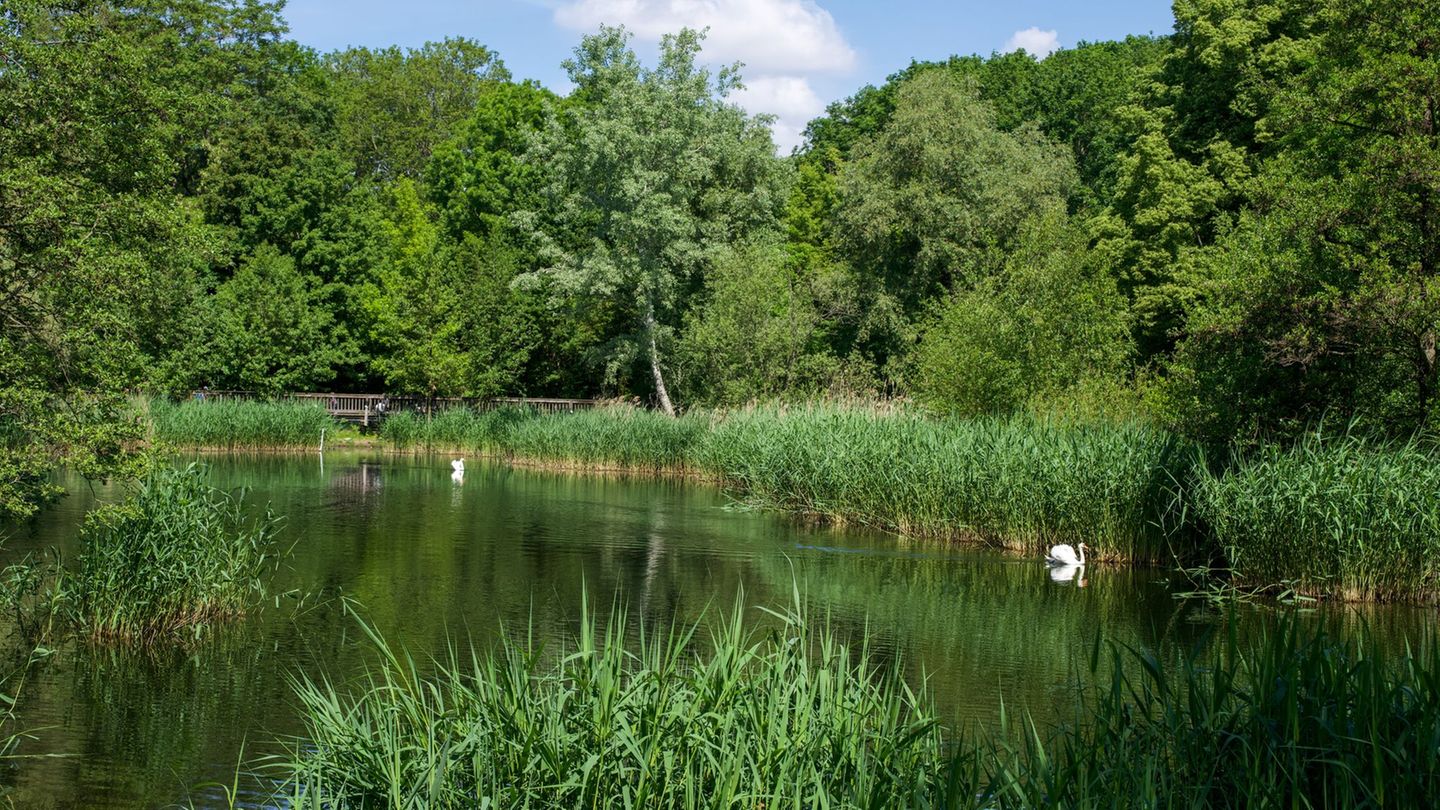 In Berlin und Brandenburg wird es am Freitag noch einmal sonnig. Foto: Soeren Stache/dpa/ZB
