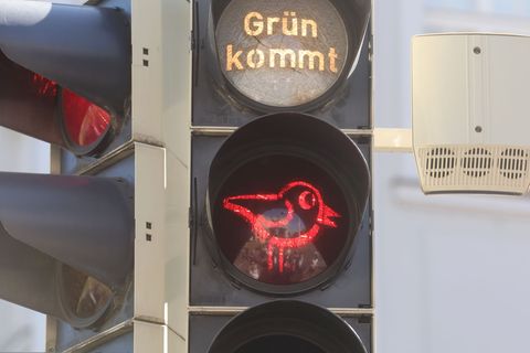 Ist der rote Spatz zu sehen, sollten Fußgänger stehen bleiben. Foto: Bodo Schackow/dpa