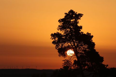 Das Frühjahr 2026 brachte Sachsen-Anhalt ungewöhnlich viele Sonnenstunden und überdurchschnittlich milde Temperaturen. (Symbolbi