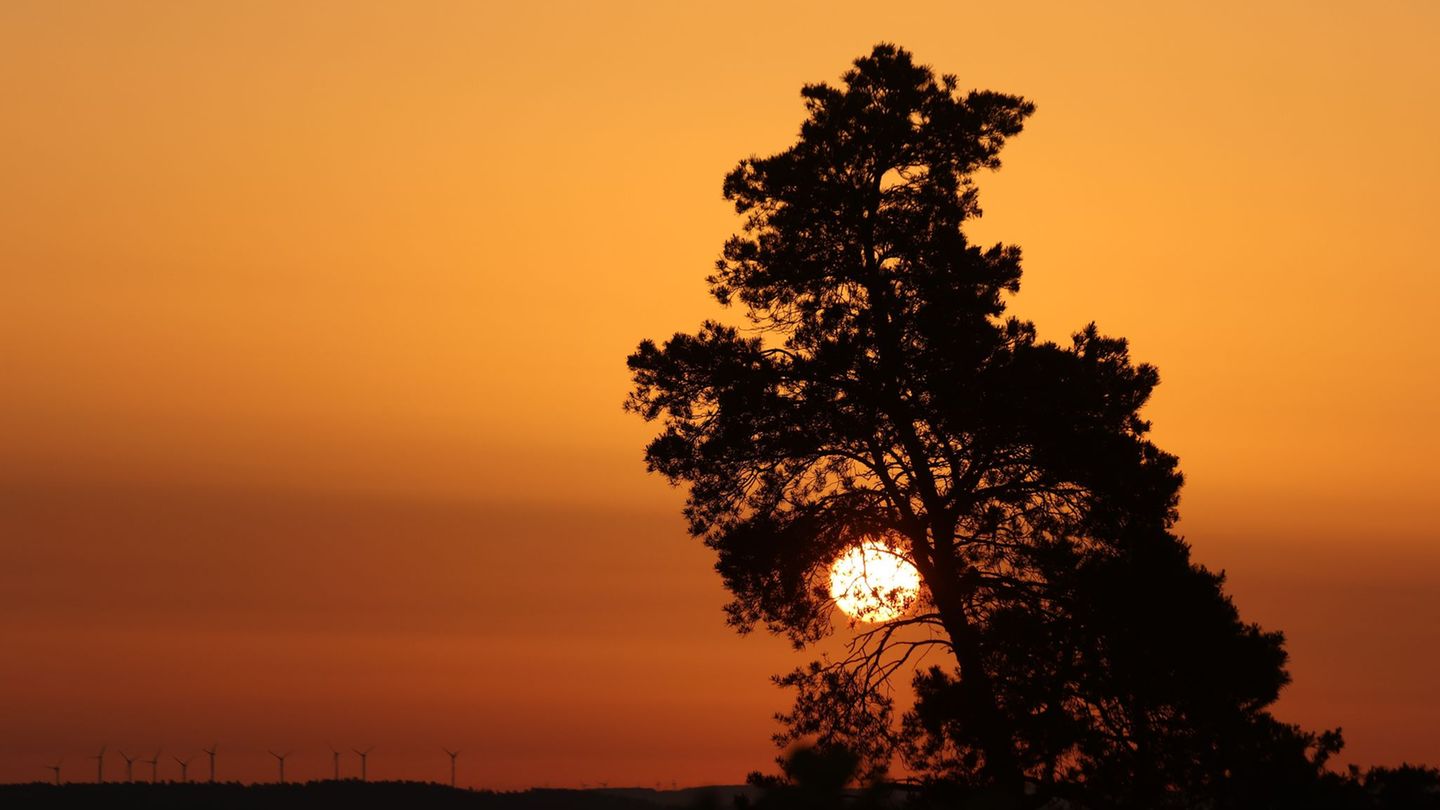 Das Frühjahr 2026 brachte Sachsen-Anhalt ungewöhnlich viele Sonnenstunden und überdurchschnittlich milde Temperaturen. (Symbolbi