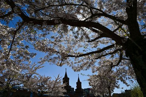 In der Hauptstadt war das Frühjahr deutlich sonniger als in vielen anderen Jahren. (Archivbild) Foto: Jens Kalaene/dpa