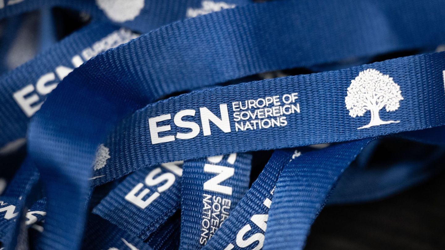 Zu den Mitgliedern der Europapartei ESN gehört auf die deutsche Alternative für Deutschland. (Archivbild) Foto: Sebastian Kahner