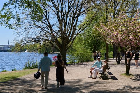 Der Frühling zeigte sich laut DWD von seiner sommerlichen Seite. (Archivbild) Foto: Georg Wendt/dpa