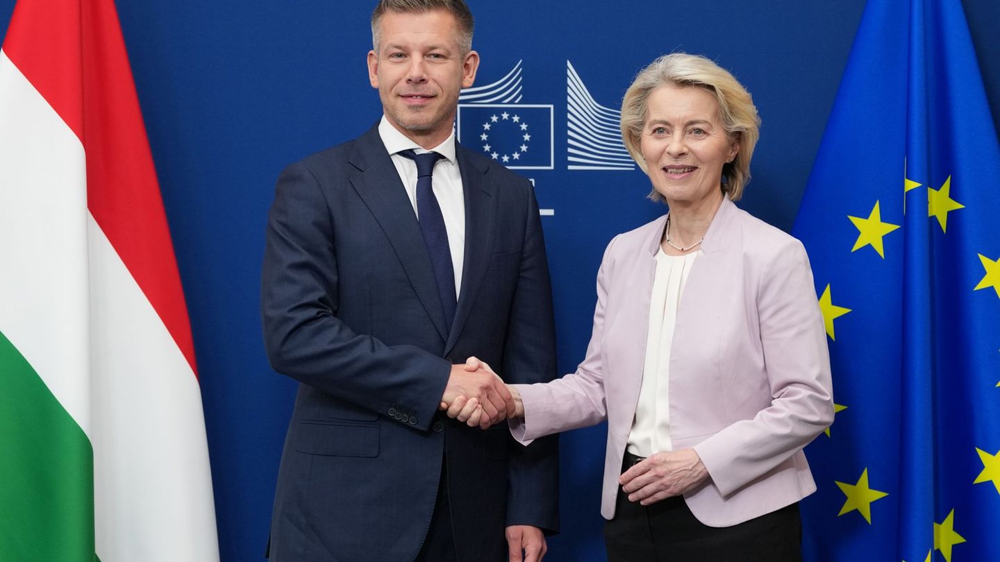 Nach dem Regierungswechsel in Ungarn: EU-Mittel sollen wieder in das Land fließen. Foto: Virginia Mayo/AP/dpa