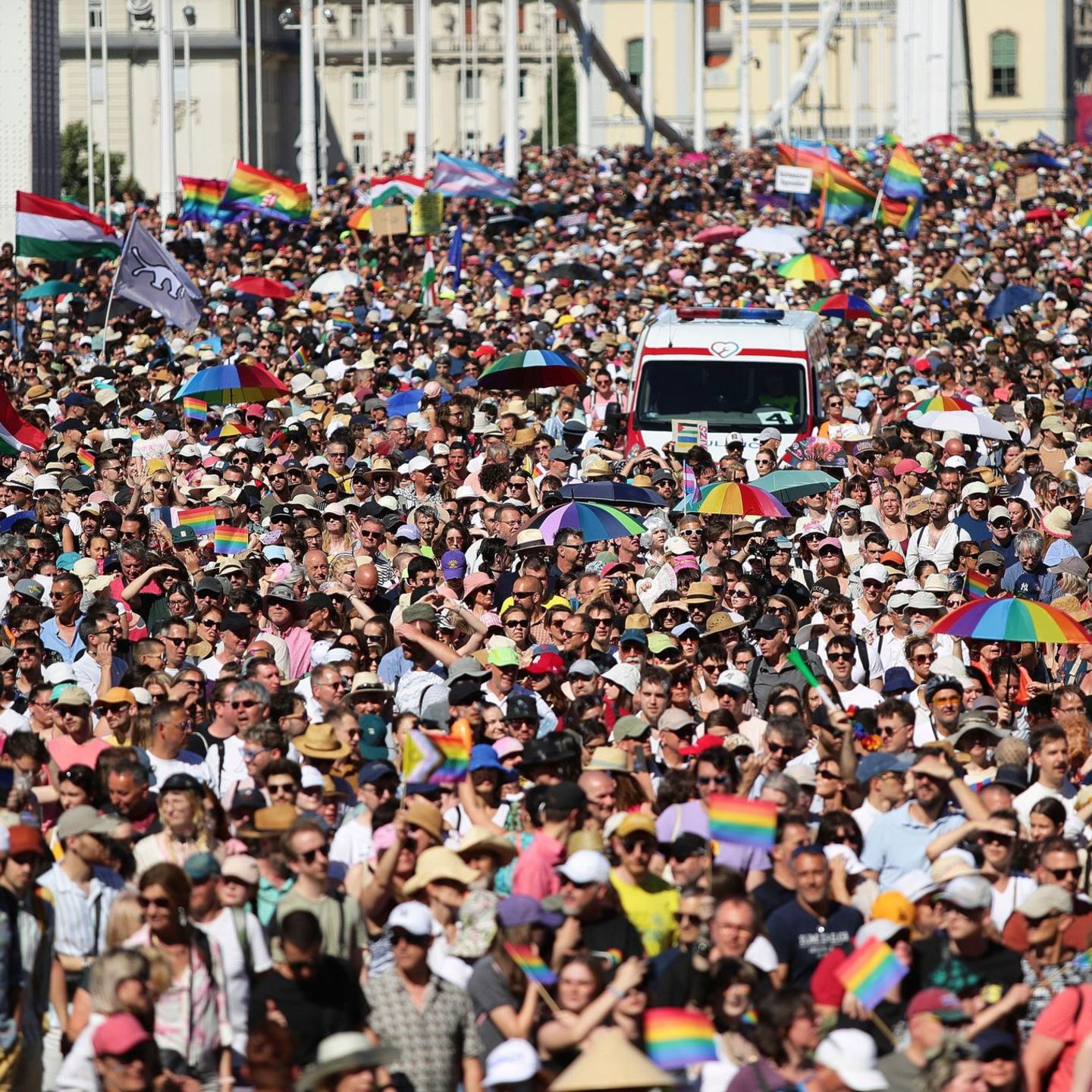 Budapest: Teilnehmer des Pride-Marsches überqueren die Elisabeth-Brücke (Archivfoto)