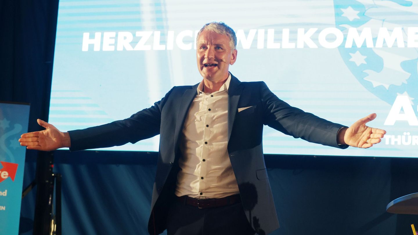 Thüringens AfD-Chef Björn Höcke hält den Kurs seiner Partei in den vergangenen Jahren für richtig. Foto: Bodo Schackow/dpa