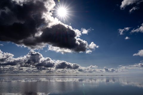 Umweltminister Goldschmidt fordert mit Kollegen weiterer Länder mehr nutzungsfreie Fläche im Nationalpark Wattenmeer. (Archivbil