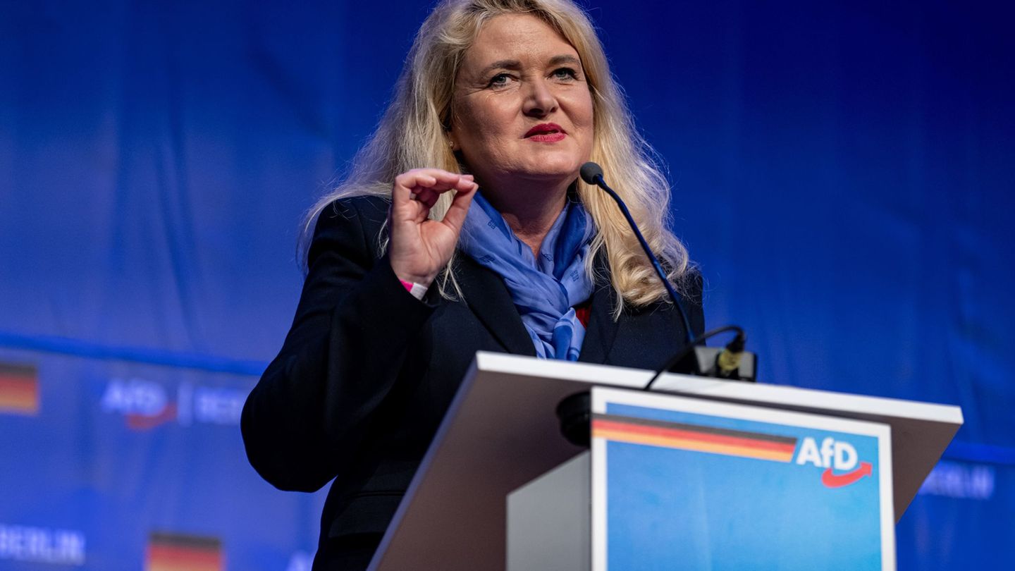 Wahlkampf: Berliner AfD kürt Brinker als Kandidatin fürs Rathaus