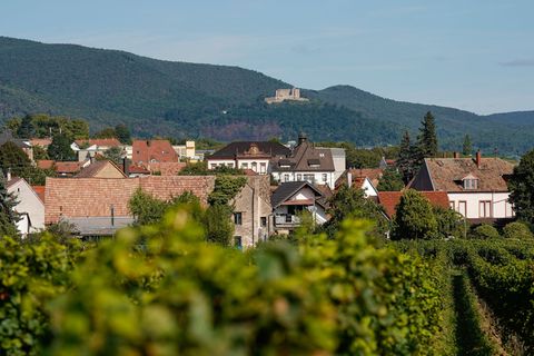 Das Hambacher Schloss über Neustadt an der Weinstraße wurde im Mittelalter als Burg erbaut und in der Neuzeit schlossartig ausge