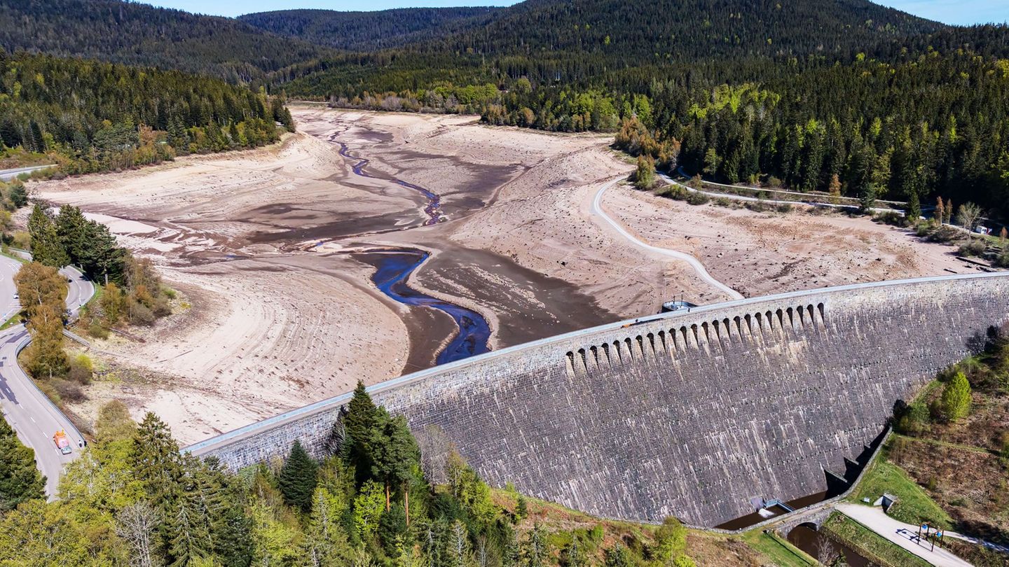 Sanierung: Schwarzenbach-Talsperre: So viele Fische wurden umgesetzt
