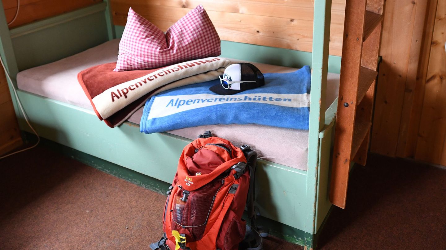 Ungeziefer: Bettwanzen auf dem Vormarsch - auch in Berghütten