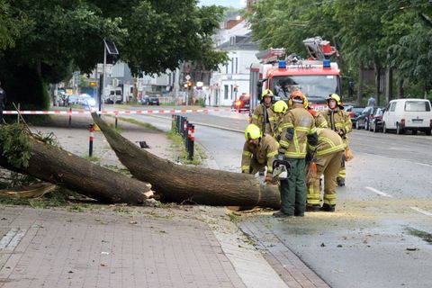 Durch das Unwetter sind einige Bäume umgekippt. Foto: Jörn Hüneke/dpa