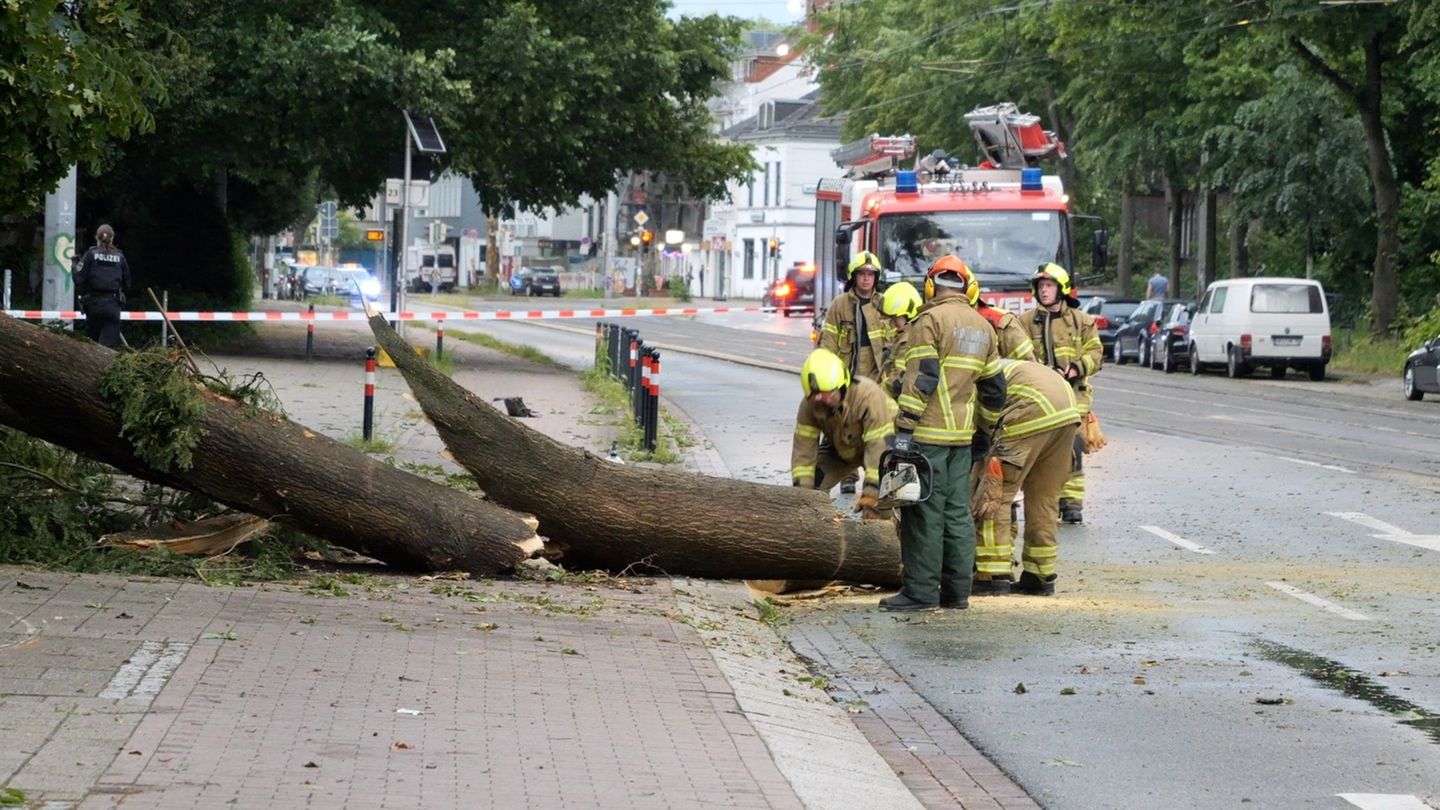 Durch das Unwetter sind einige Bäume umgekippt. Foto: Jörn Hüneke/dpa