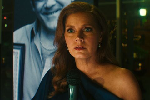 Anwältin Anna Bowden (Amy Adams), die normalerweise für unschuldig einsitzende und oft unterprivilegierte Gefangene kämpft, muss sich nun selbst gegen die Zerstörung ihres Lebens und das ihrer Familie wehren.