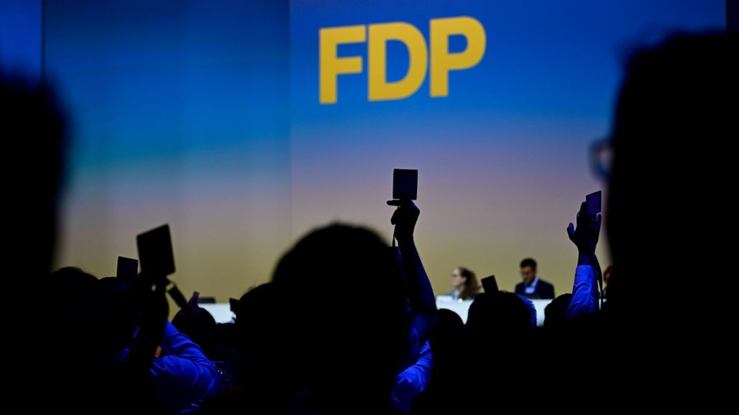 FDP-Parteitag