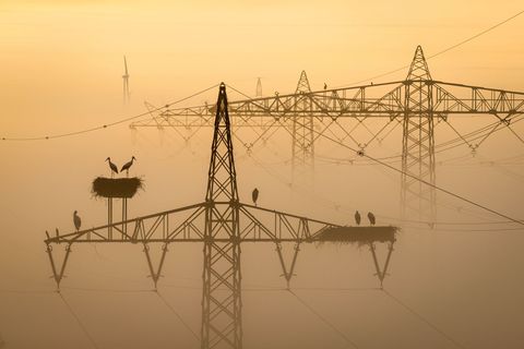 In und um München gab es schon häufiger Anschläge auf Energieanlagen. (Symbolbild) Foto: Sina Schuldt/dpa