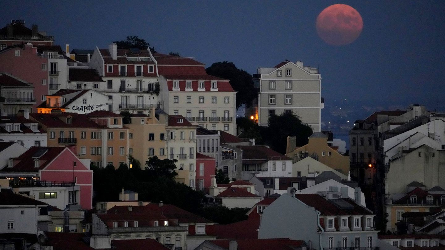 Colmar: In Portugal ausgesetzte Kinder zurück in Frankreich