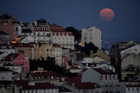 Die beiden Brüder wurden am 19. Mai weinend am Straßenrand südlich von Portugals Hauptstadt Lissabon gefunden
