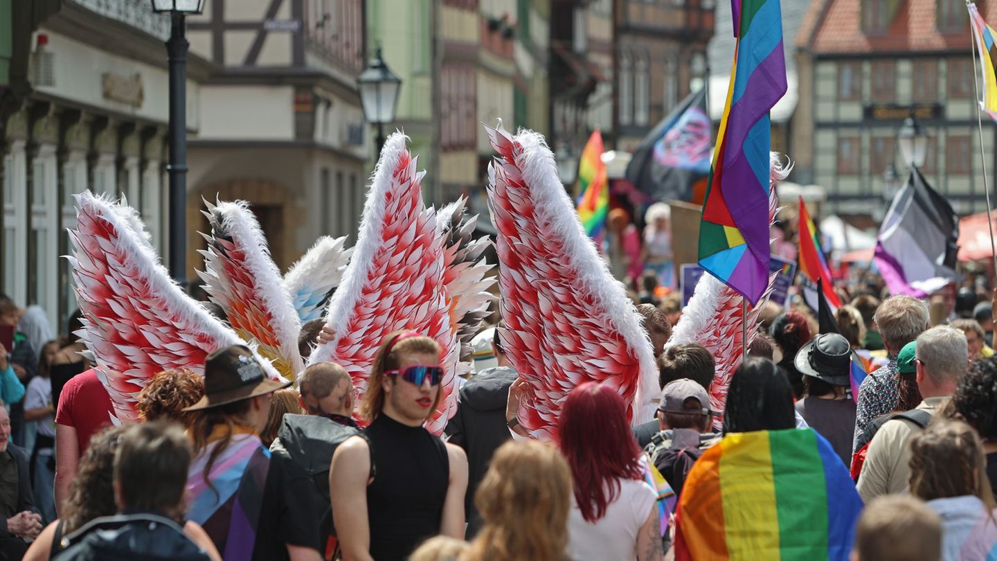 Christopher Street Day: Schrauben und rechte Gruppen stören CSD in Wernigerode
