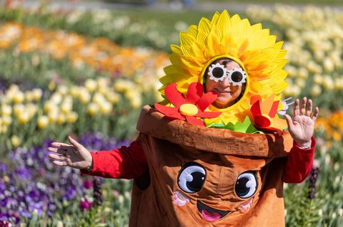 Zum Familientag bei der Landesgartenschau am Sonntag wirbt Thüringen für Grüne Berufe. (Archivbild) Foto: Michael Reichel/dpa