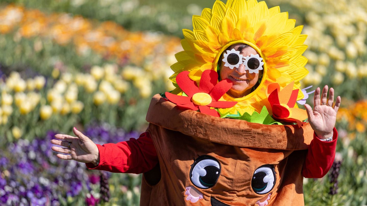 Schulgarten-Tradition: Landesgartenschau: Thüringen wirbt für Grüne Berufe