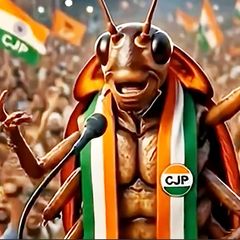 Indien: Widerspenstige Kakerlaken-Partei versammelt Millionen hinter sich
