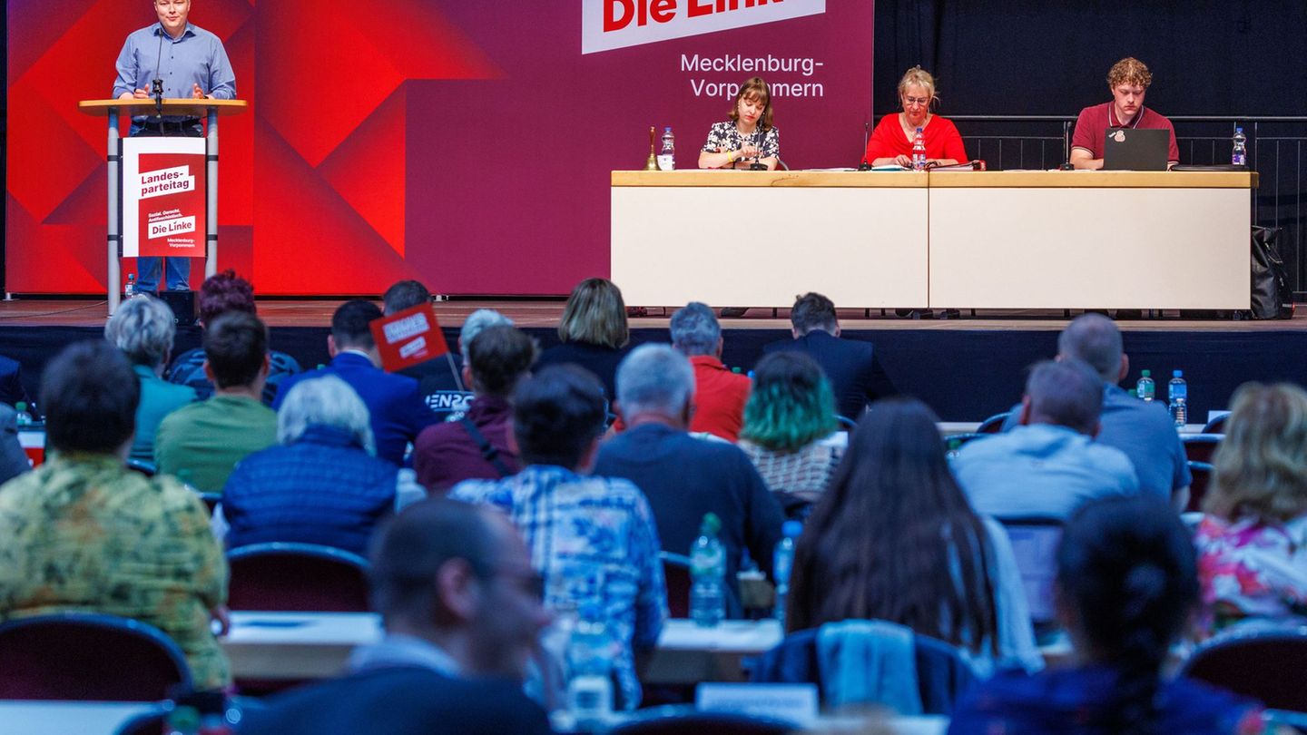 Landeschef Hennis Herbst wirbt für Geschlossenheit vor der Landtagswahl. Foto: Jens Büttner/dpa