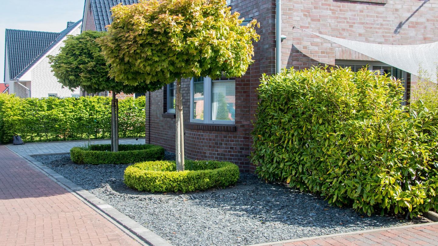 Dieser frühere Schottergarten in Emden wurde 2022 umgestaltet. (Archivbild) Foto: Lennart Stock/dpa/dpa-tmn