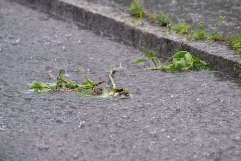 Der Sonntag fällt in Bayern vielerorts ins Wasser. Foto: Pia Bayer/dpa