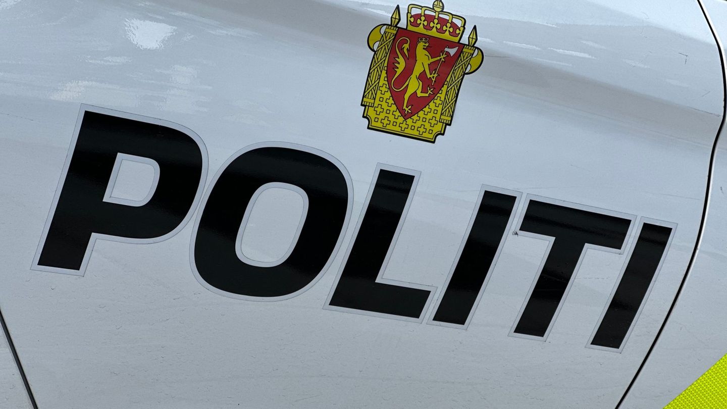 Die drei Männer starben nach Polizeiangaben noch an der Unfallstelle. (Symbolbild) Foto: Steffen Trumpf/dpa