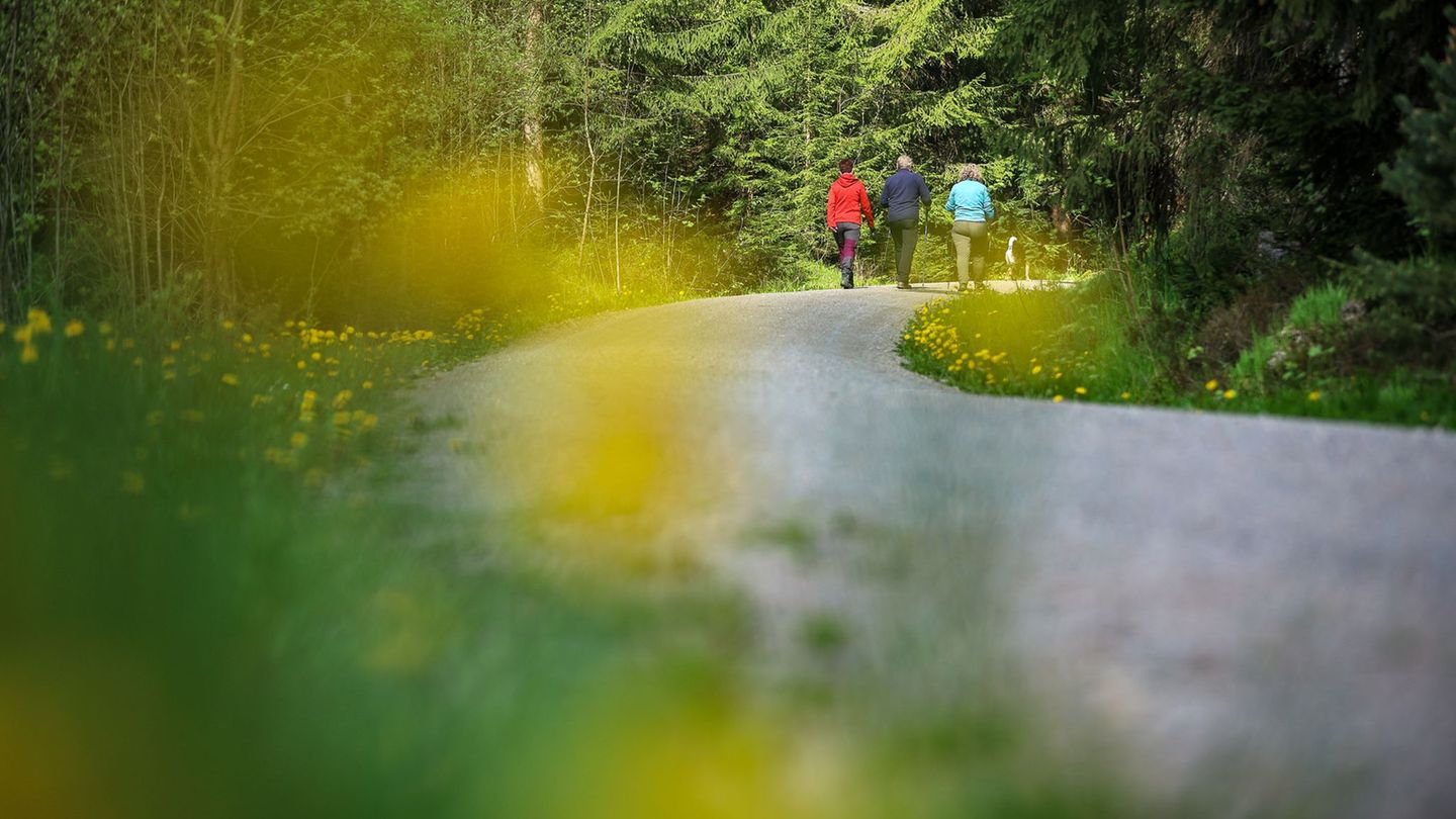 Wandern ist eine beliebte Freizeitbetätigung in der Natur: 2027 ist Reichenbach im Vogtland Gastgeber des Sächsischen Wandertage