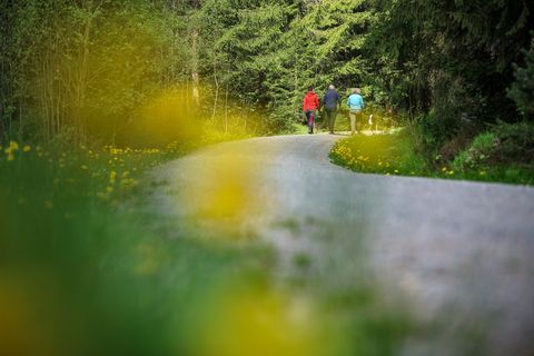 Wandern ist eine beliebte Freizeitbetätigung in der Natur: 2027 ist Reichenbach im Vogtland Gastgeber des Sächsischen Wandertage
