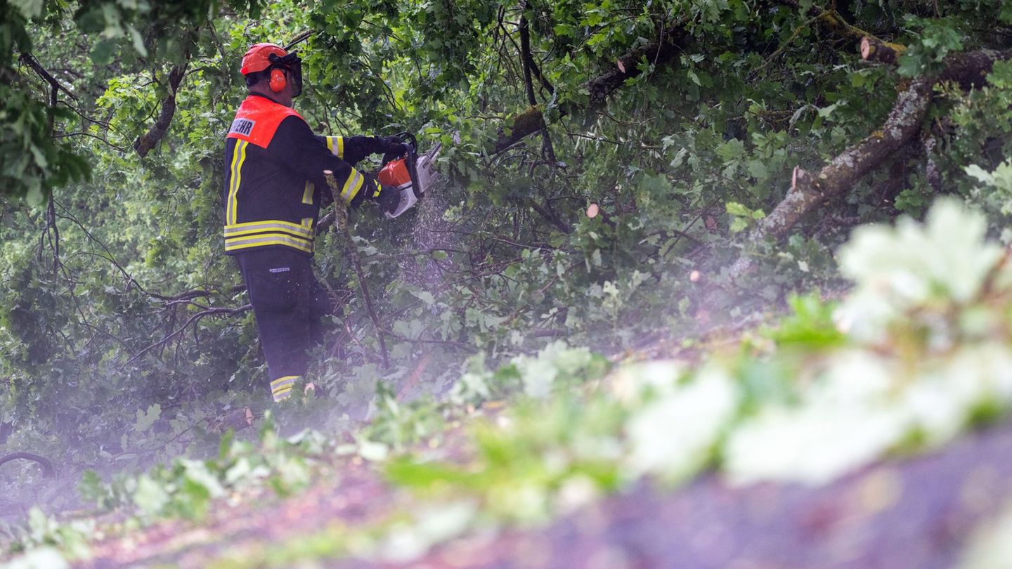 Die Feuerwehr räumt die bayerischen Straßen nach dem Unwetter wieder frei. Foto: Pia Bayer/dpa