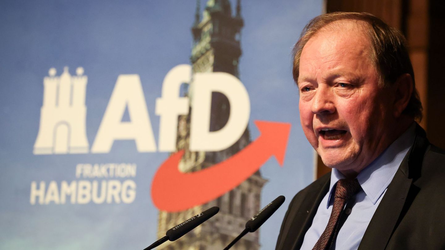 AfD-Fraktionschef Dirk Nockemann fordert den Rücktritt von Bürgermeister Peter Tschentscher. (Archivbild) Foto: Christian Charis