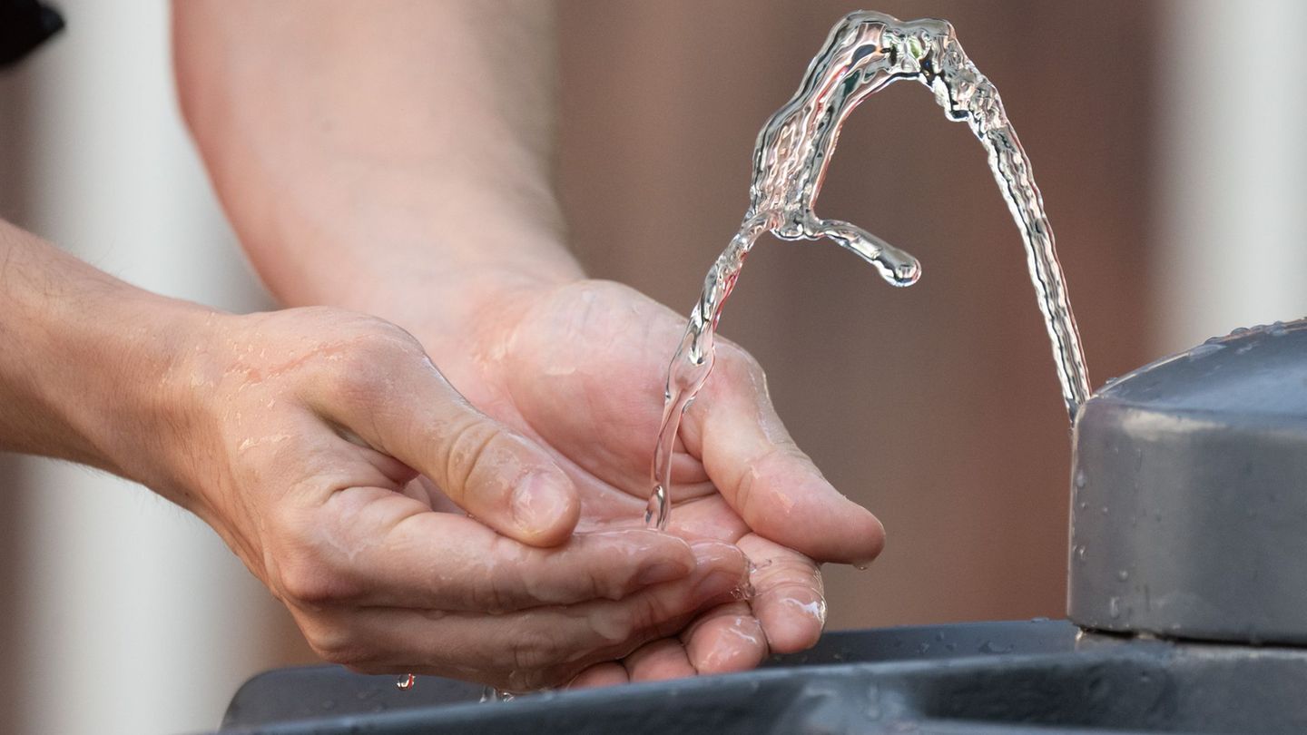 Bis zum 31. August läuft die Hitzehilfe. (Symbolbild) Foto: Sebastian Kahnert/dpa