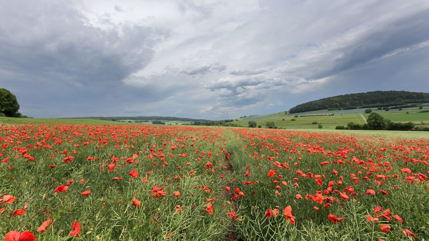 Landesweit könnten Gewitter auch zum Wochenbeginn möglich sein, warnt der Deutsche Wetterdienst. (Archivbild) Foto: Thomas Warna