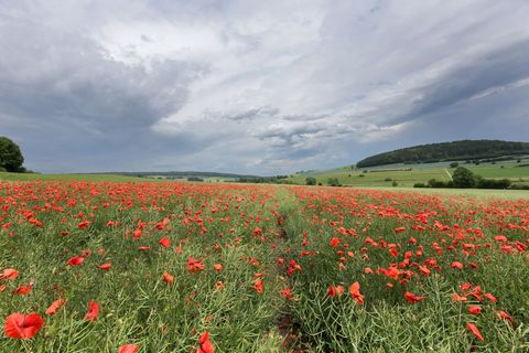 Landesweit könnten Gewitter auch zum Wochenbeginn möglich sein, warnt der Deutsche Wetterdienst. (Archivbild) Foto: Thomas Warna