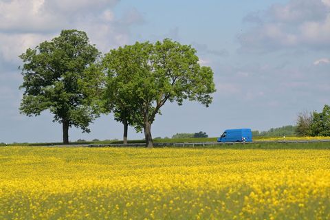 Mit den sommerlichen Temperaturen sind aber auch Gewitter möglich: Von der Prignitz bis zum Fläming kann es in der Nacht zum Mit