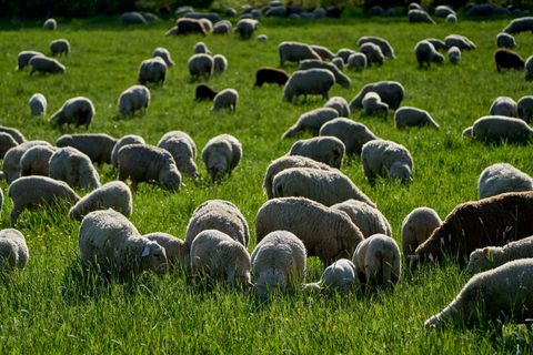 Am Montag werden Temperaturen zwischen 21 und 26 Grad erwartet. (Archivbild) Foto: Sascha Ditscher/dpa
