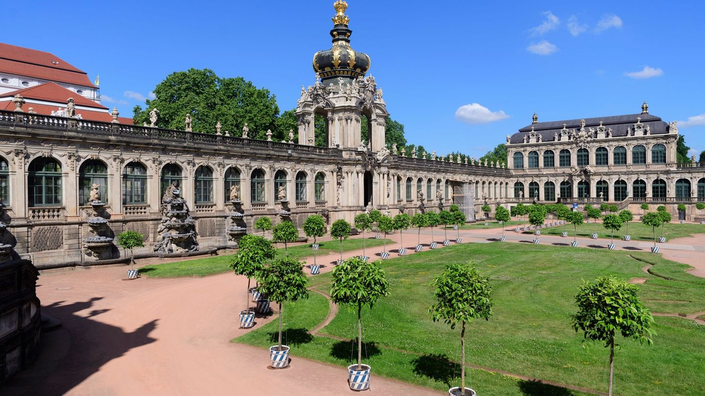 Die Orangenbäume in Kübeln kehren nach fünfjähriger Pause wieder in den Dresdner Zwinger zurück. (Archivbild) Foto: Robert Micha